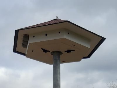 Artenschutzhaus einstöckig