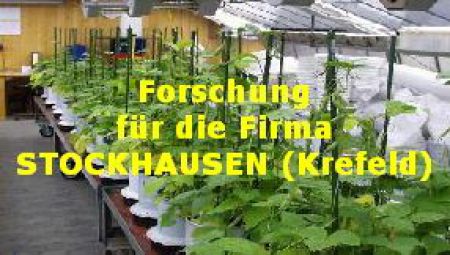 Forschung